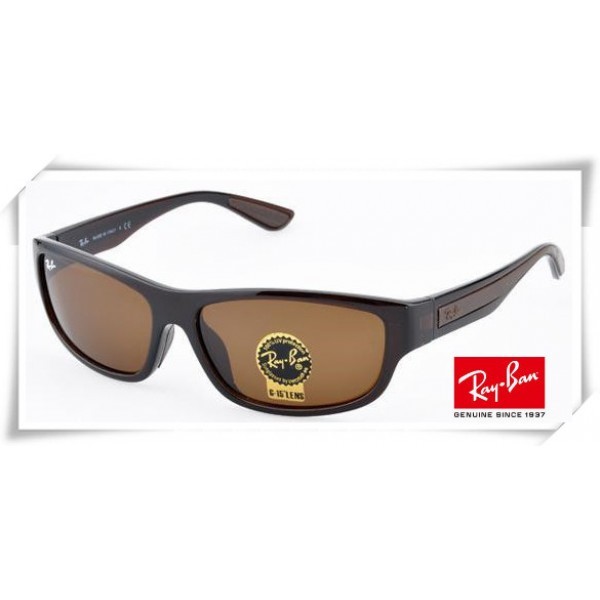Ray Ban RB4169 Sunglasses Brown Frame Brown G-15 Lens