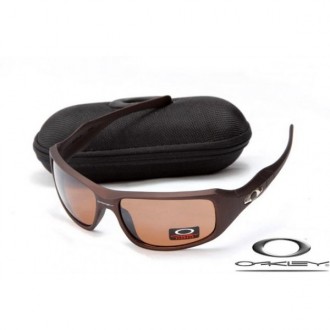  Oakley c six sunglasses Cheap Wholesale Free Shipping OAKLEY20156018
