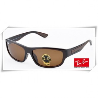 Ray Ban RB4169 Sunglasses Brown Frame Brown G-15 Lens